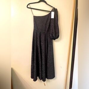 REFORMATION Santos Black Shimmer Dress